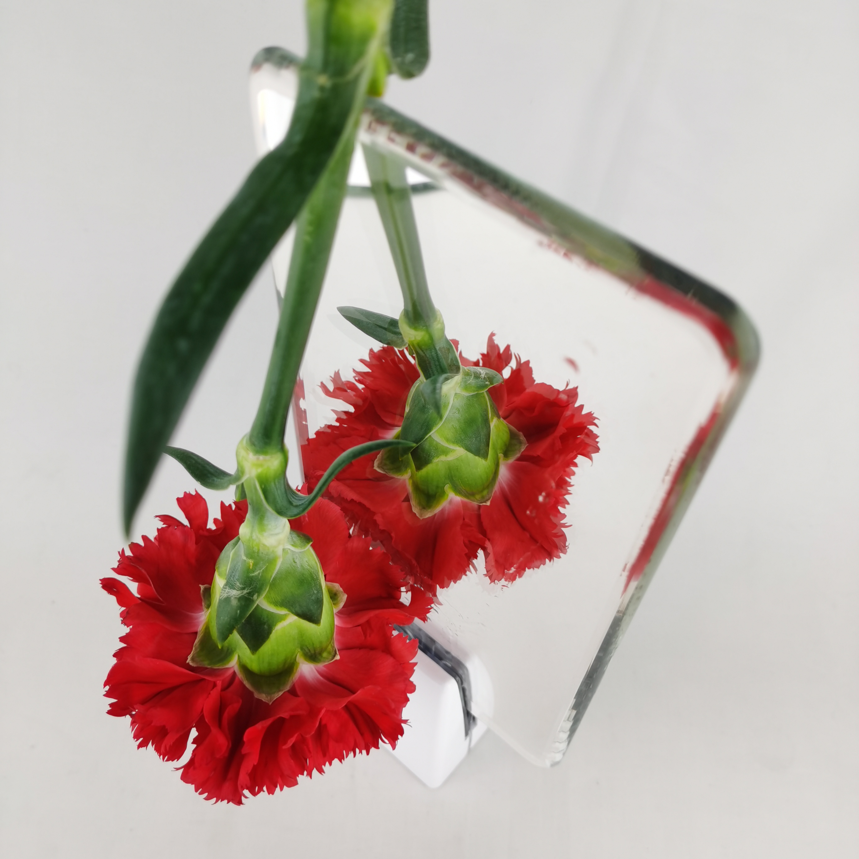 3mm 4mm 5mm 6mm 8mm 10mm 12mm verre miroir argenté