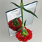 2 mm 3 mm 4 mm 5 mm 6 mm 8 mm 10 mm 12 mm Verre miroir double face