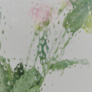 3 mm 4 mm 5 mm 6 mm 8 mm 10 mm Transparent Showerlite Figured Pattern Glass