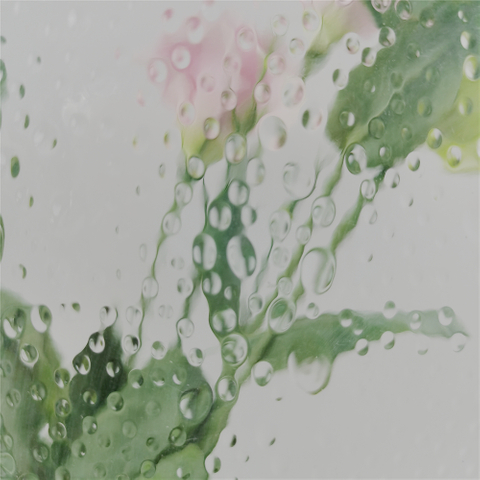 3 mm 4 mm 5 mm 6 mm 8 mm 10 mm Transparent Showerlite Figured Pattern Glass