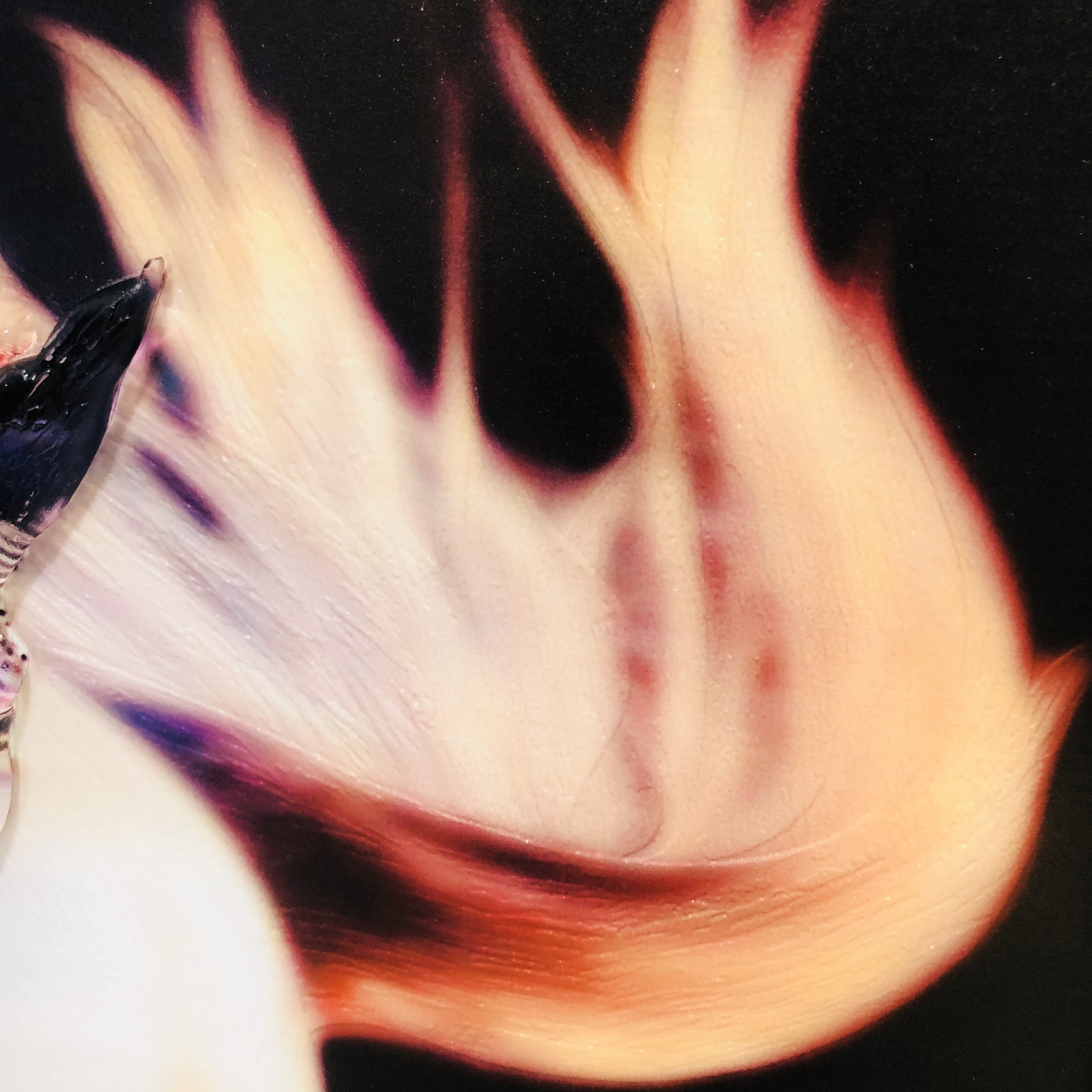 Peinture en verre de mur d'art fait main de cheval réaliste acrylique pour le décor à la maison