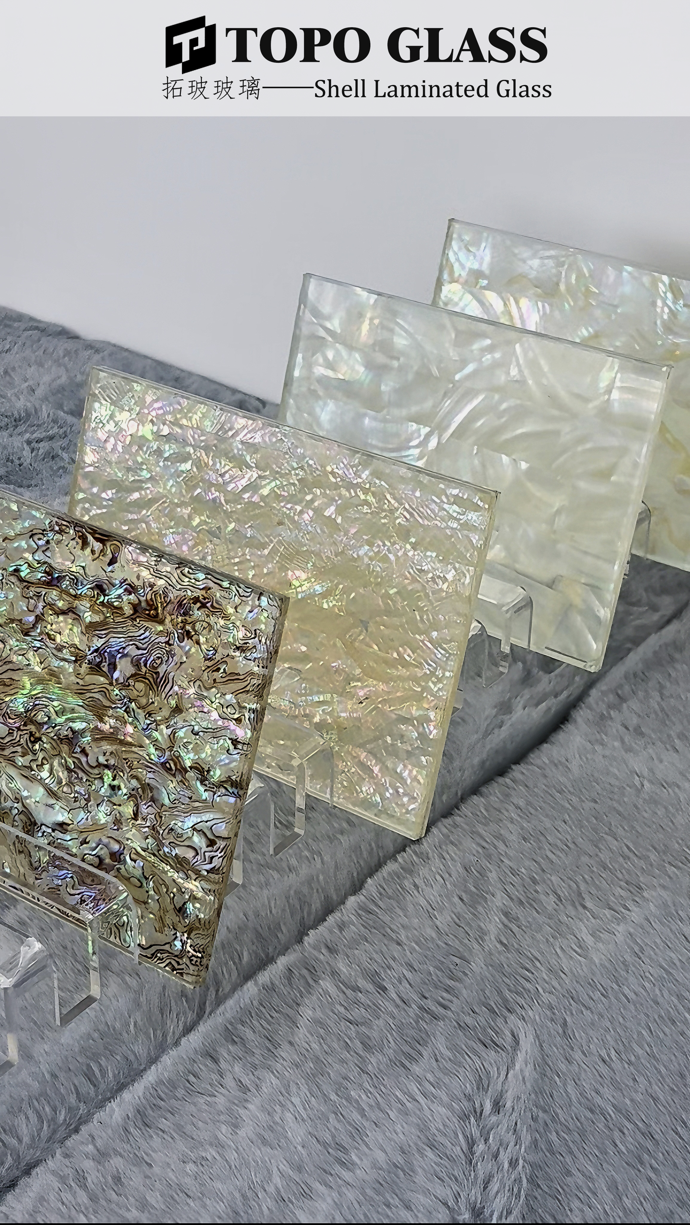 Verre Feuillet&eacute; Coque