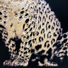 Peintures d'art en verre de doublure de léopard en trois dimensions décoratives en cristal