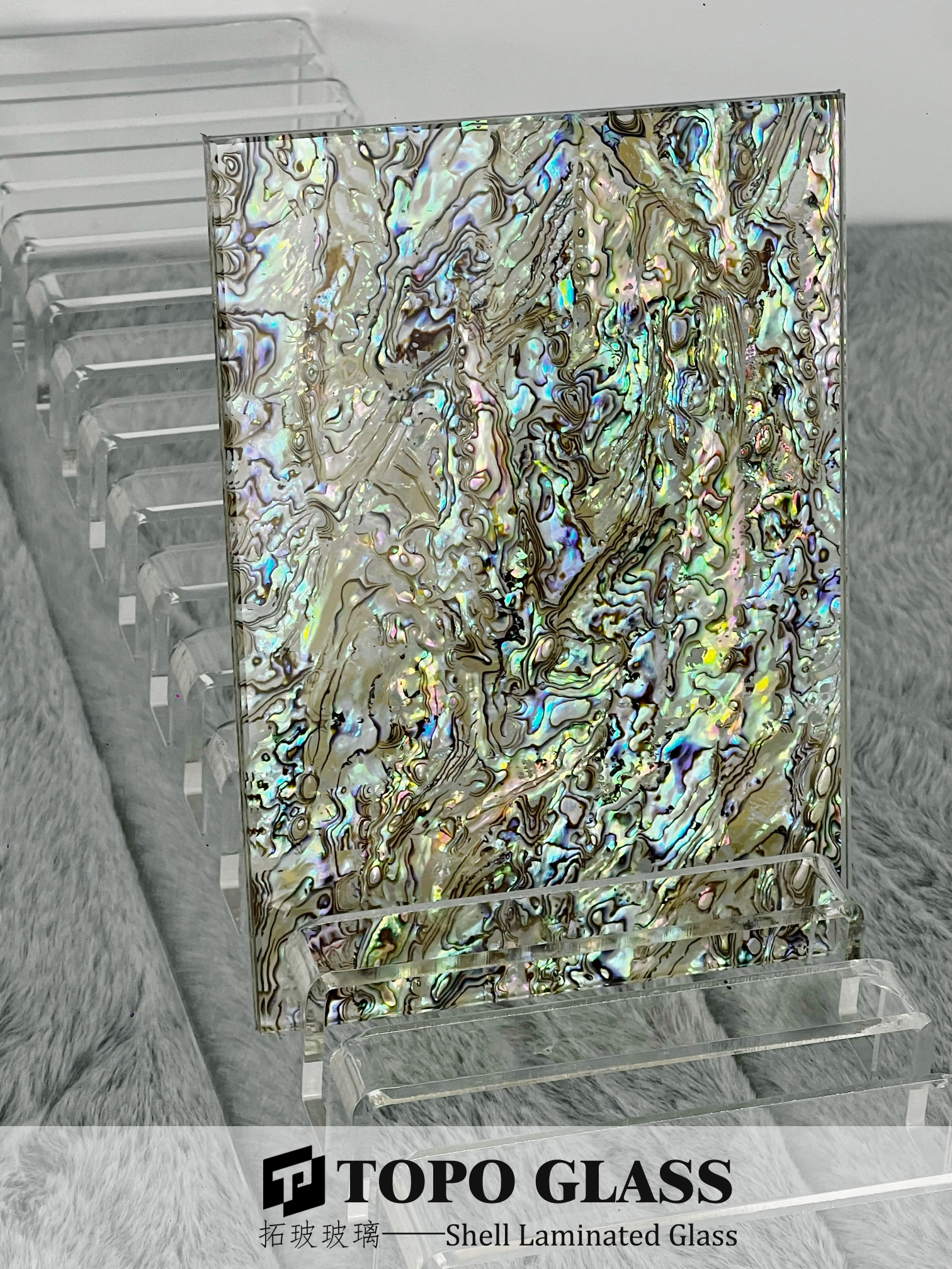 Verre Feuilleté Coque