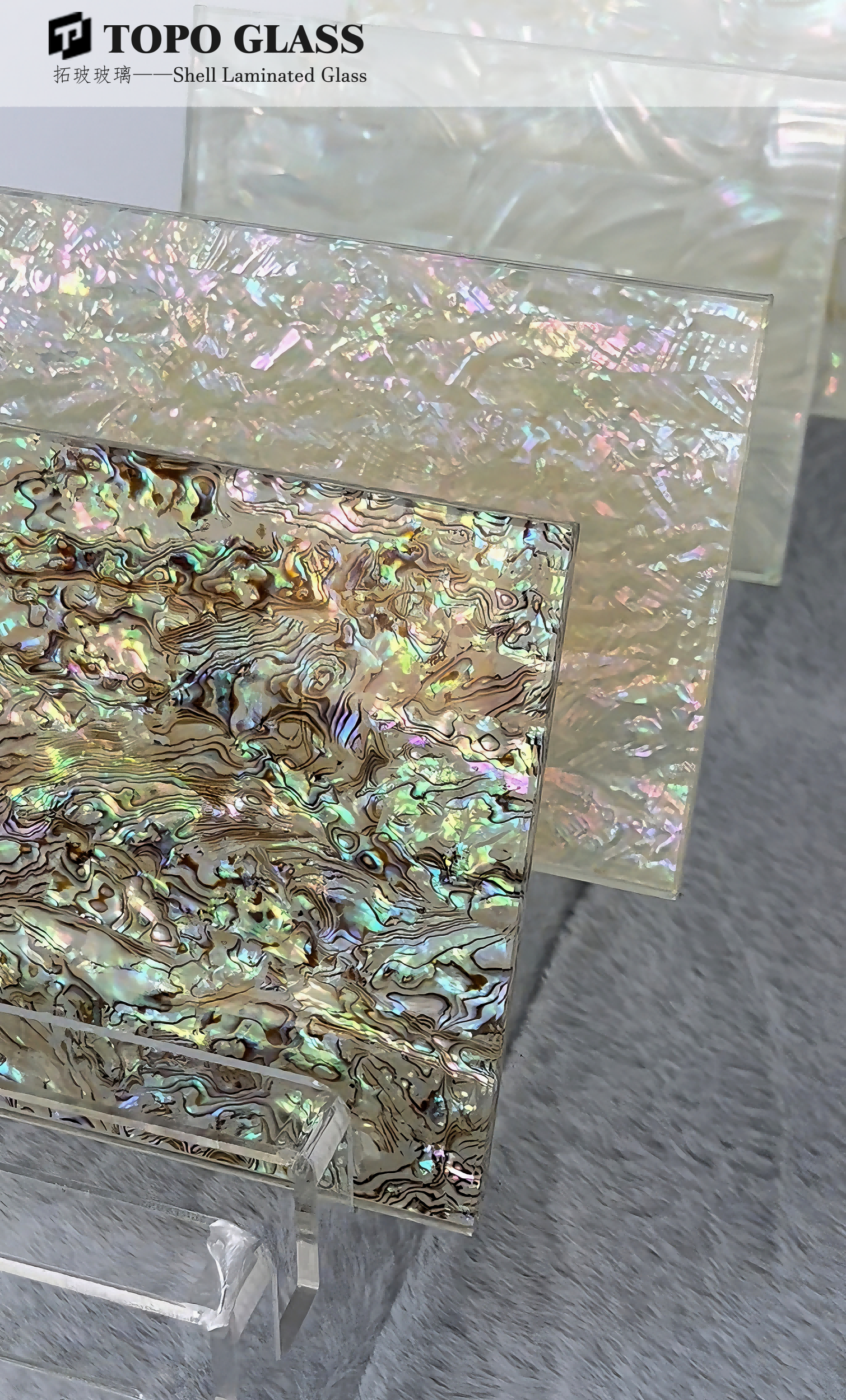 Verre feuillet&eacute; coquille (4)