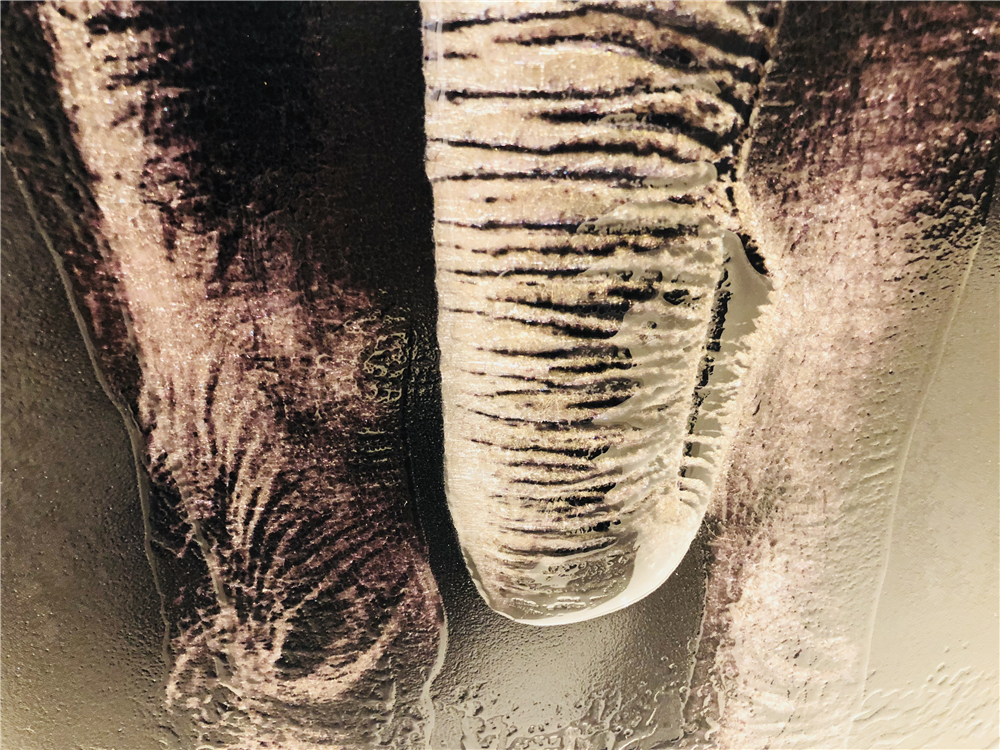 Peinture en verre d'éléphant réaliste 3D sur du verre ultra clair à faible teneur en fer