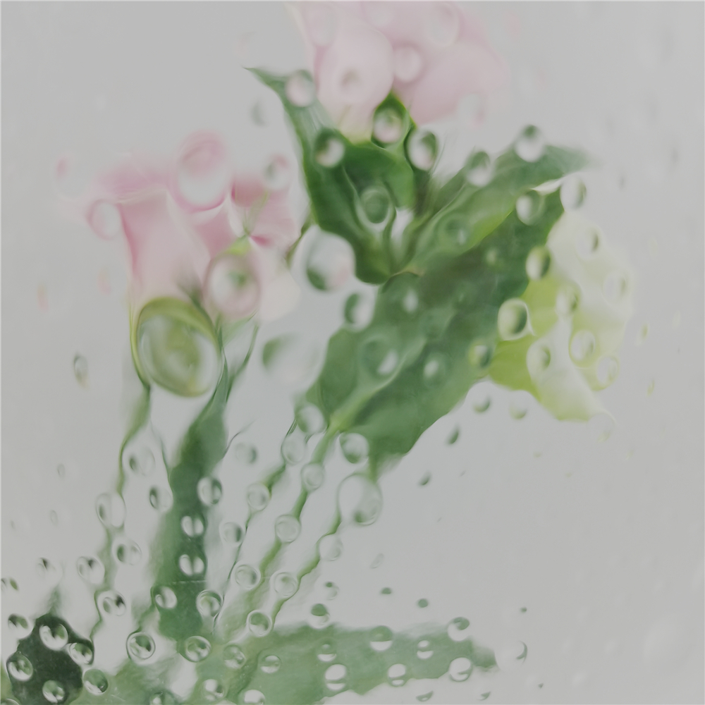 3 mm 4 mm 5 mm 6 mm 8 mm 10 mm Transparent Showerlite Figured Pattern Glass