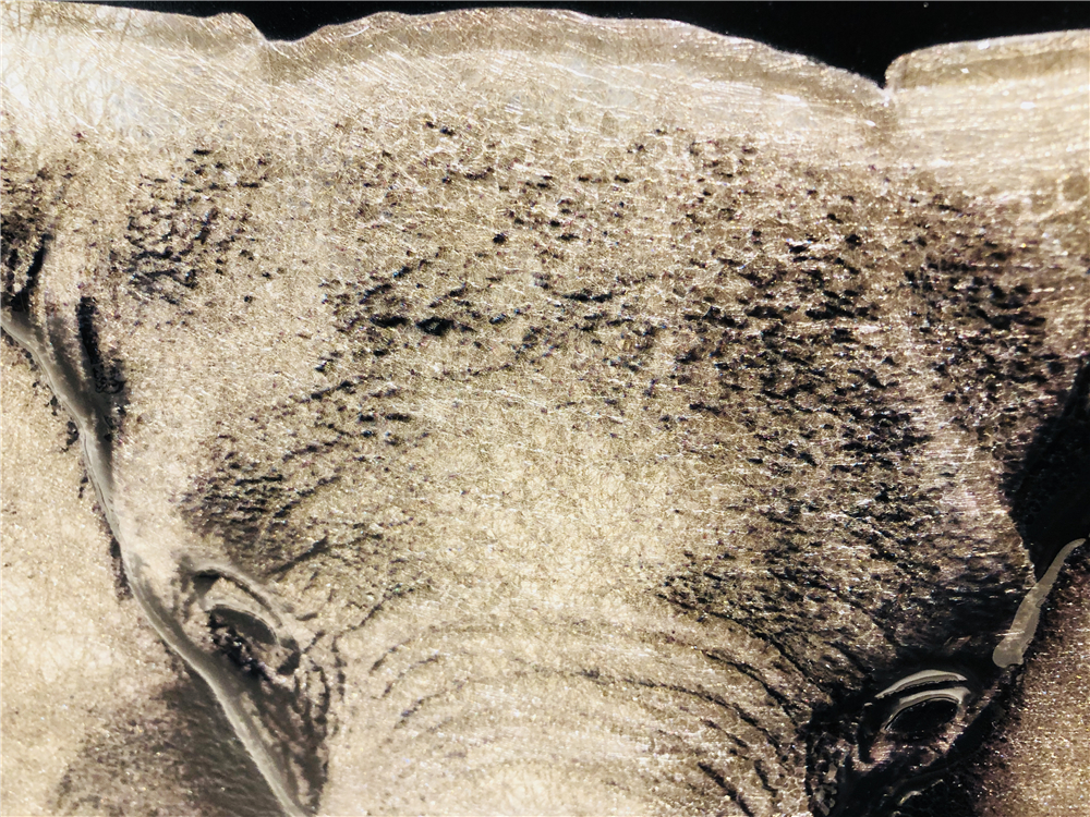 Peinture en verre d'éléphant réaliste 3D sur du verre ultra clair à faible teneur en fer