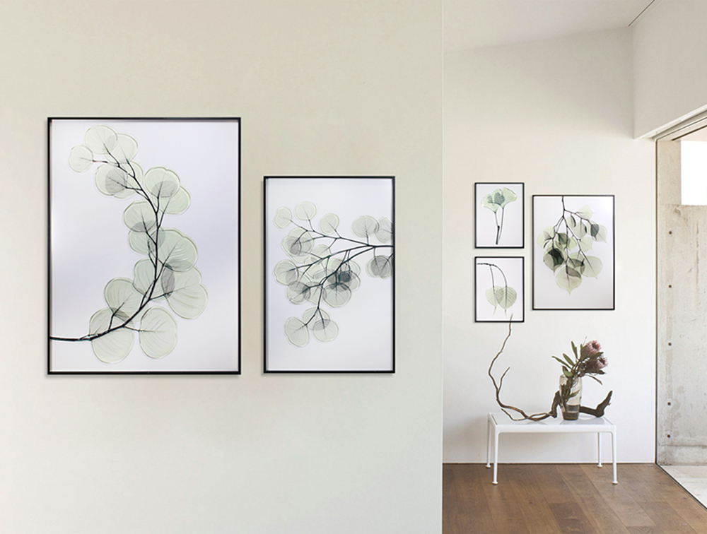 Peinture de plantes classiques