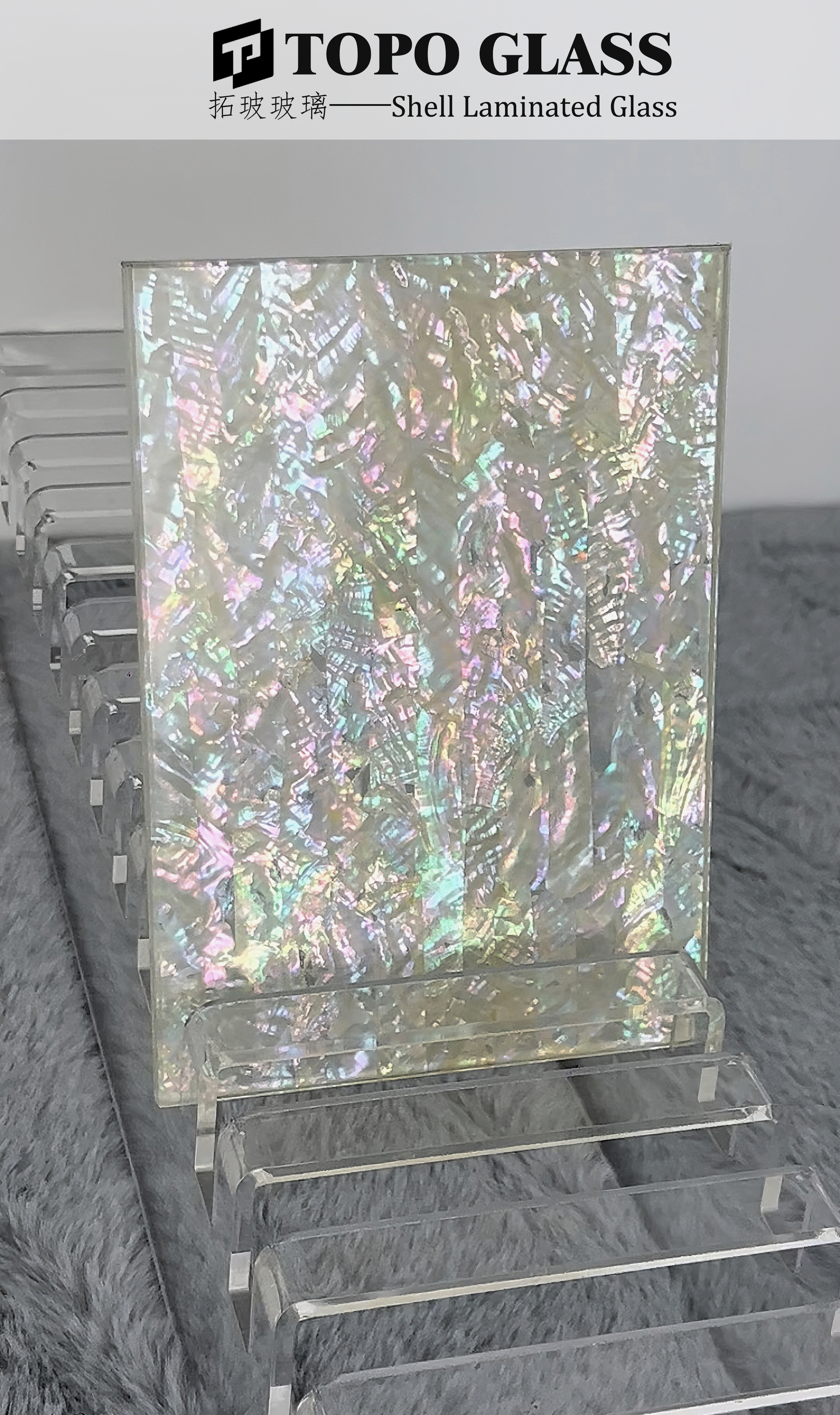 Verre Feuilleté Coque